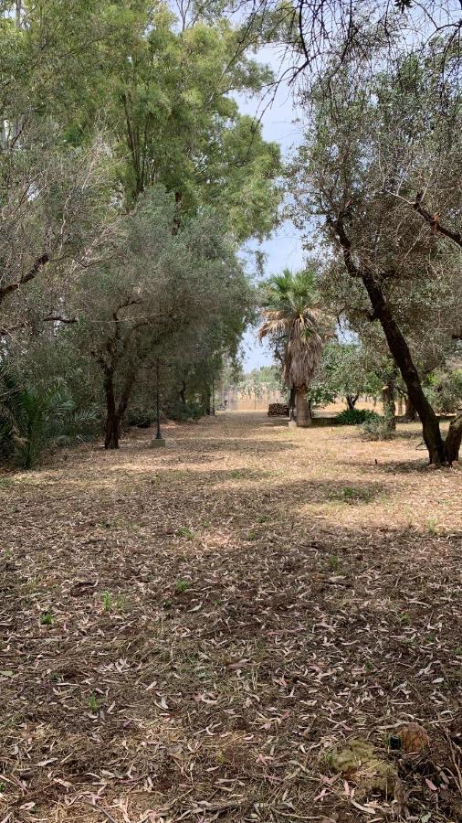 Tenuta Sidore Cursi Bagian luar foto