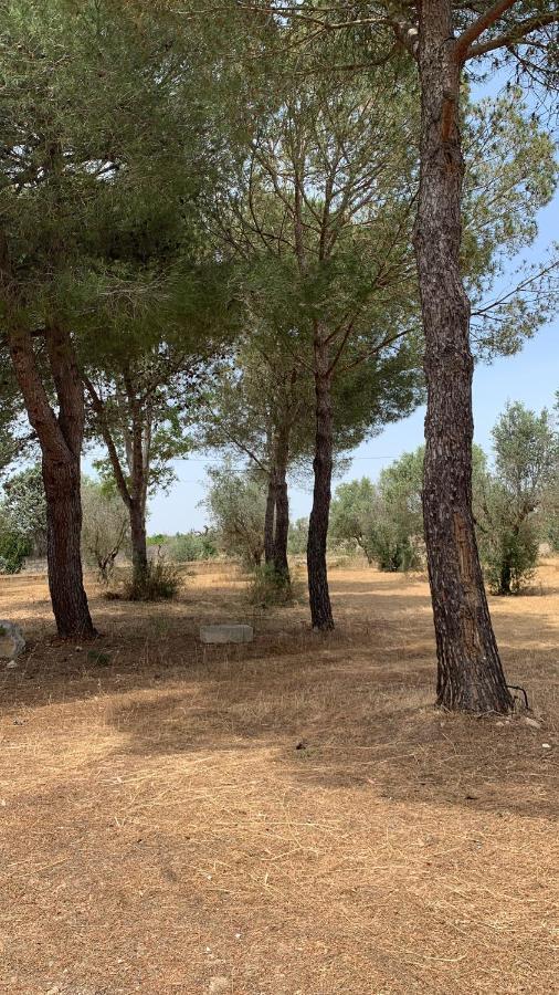 Tenuta Sidore Cursi Bagian luar foto